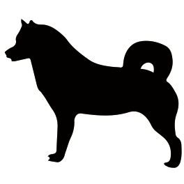 犬