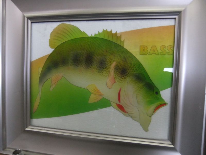 Wallart(Micropterus)